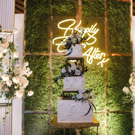 Happily Ever After Neon LED sign for wedding reception backdrop